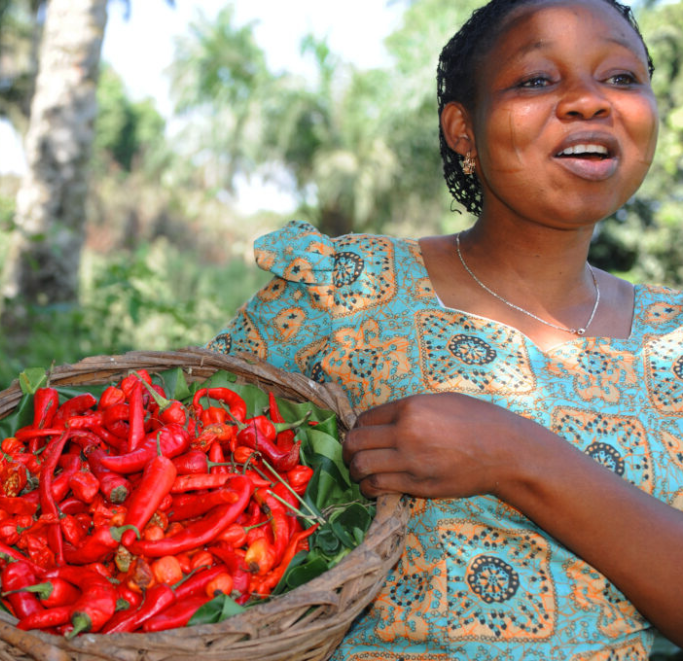 Empowering women farmers